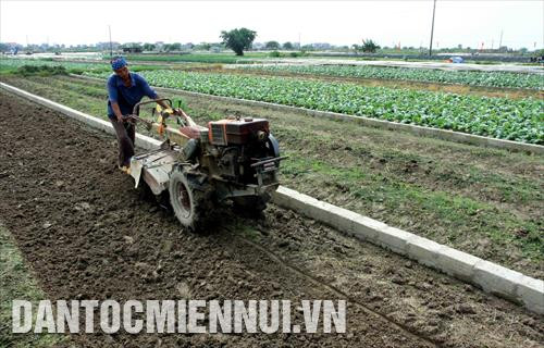 Nên chủ động làm đất trước khi gieo trồng cây vụ đông