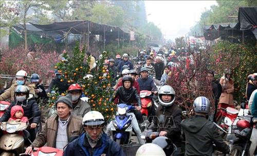 Người dân Hưng Yên tham quan và chọn lựa hoa, cây cảnh. Ảnh: Phạm Kiên - TTXVN