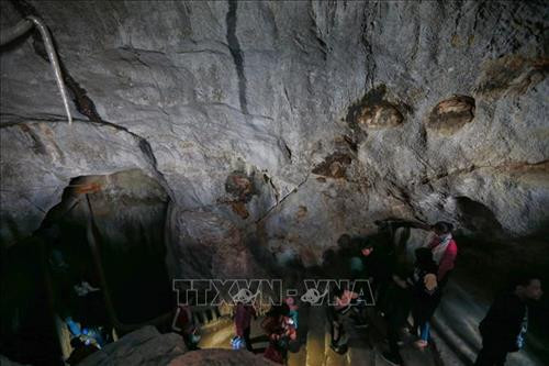 Lối đi trong động cung tiên là nơi thờ Phật bà và 12 vị tiên nữ. Ảnh: Trọng Đạt - TTXVN Múa rồng trong ngày khai hội chùa Tiên. Ảnh: Trọng Đạt - TTXVN Du khách và phật tử thắp hương trong chính điện chùa Tiên. Ảnh: Trọng Đạt - TTXVN Quanh cảnh buổi lễ. Ảnh: Trọng Đạt - TTXVN Hàng nghìn du khách, phật tử và người dân địa phương tham dự lễ hội. Ảnh: Trọng Đạt - TTXVN Lối đi trong động cung tiên là nơi thờ Phật bà và 12 vị tiên nữ. Ảnh: Trọng Đạt - TTXVN Múa rồng trong ngày khai hội chùa Tiên. Ảnh: Trọng Đạt - TTXVN Du khách và phật tử thắp hương trong chính điện chùa Tiên. Ảnh: Trọng Đạt - TTXVN Quanh cảnh buổi lễ. Ảnh: Trọng Đạt - TTXVN Hàng nghìn du khách, phật tử và người dân địa phương tham dự lễ hội. Ảnh: Trọng Đạt - TTXVN