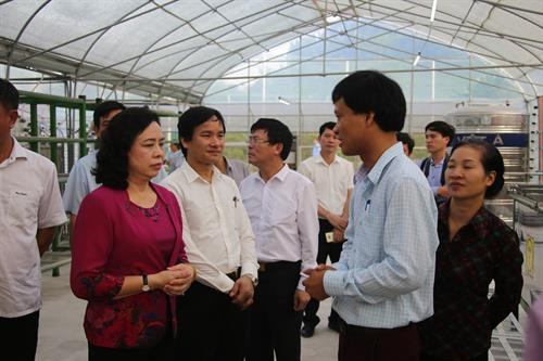 Kiểm tra xây dựng nông thôn mới, thăm các mô hình sản xuất nông nghiệp công nghệ cao tại huyện Thạch Thất ảnh 5