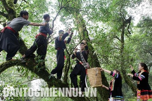 Đồng bào dân tộc ở xã Tả Lèng, huyện Tam Đường (Lai Châu) thu hái chè cổ thụ ở Tả Liên Sơn. Ảnh: Minh Anh - DTMN Đồng bào dân tộc ở xã Tả Lèng, huyện Tam Đường (Lai Châu) thu hái chè cổ thụ ở Tả Liên Sơn. Ảnh: Minh Anh - DTMN