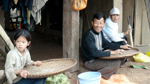 Ổn định cuộc sống cho người dân Mường Nhé ảnh 2