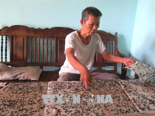 Ruồi nhặng do ô nhiễm môi trường từ bãi rác thải ở thôn Lũng Loét, xã Ngọc Linh, huyện Vị Xuyên, tỉnh Hà Giang gây ảnh hưởng đến đời sống của người dân. Ảnh: Minh Tâm - TTXVN Ruồi nhặng do ô nhiễm môi trường từ bãi rác thải ở thôn Lũng Loét, xã Ngọc Linh, huyện Vị Xuyên, tỉnh Hà Giang gây ảnh hưởng đến đời sống của người dân. Ảnh: Minh Tâm - TTXVN