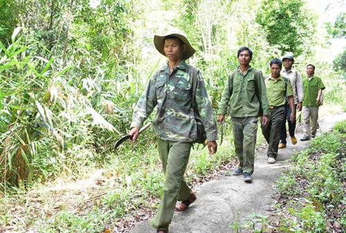 Vườn Quốc gia Chư Yang Sin (Đắk Lắk) tăng cường công tác tuần tra bảo vệ rừng. Ảnh: Tuấn Anh – TTXVN Vườn Quốc gia Chư Yang Sin (Đắk Lắk) tăng cường công tác tuần tra bảo vệ rừng. Ảnh: Tuấn Anh – TTXVN