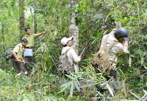 Người dân vùng đệm phối hợp với lực lượng kiểm lâm Vườn Quốc gia Chư Yang Sin phát quang đường tuần tra. Ảnh: Tuấn Anh – TTXVN Người dân vùng đệm phối hợp với lực lượng kiểm lâm Vườn Quốc gia Chư Yang Sin phát quang đường tuần tra. Ảnh: Tuấn Anh – TTXVN