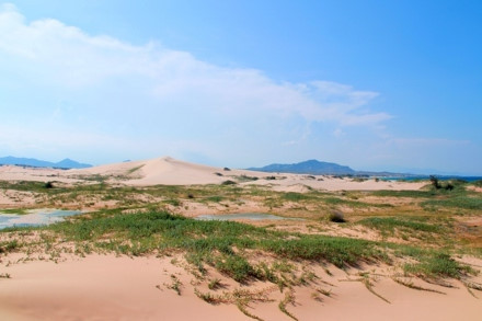 Sơn Hải - nơi đồi cát hùng vĩ chạy ra sát biển đẹp mê hồn ảnh 3