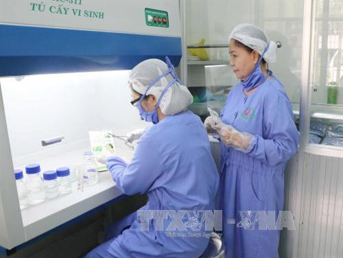 Xây dựng thương hiệu du lịch xứ dừa Bến Tre ảnh 2 Xây dựng thương hiệu du lịch xứ dừa Bến Tre ảnh 2