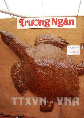 Xây dựng thương hiệu du lịch xứ dừa Bến Tre ảnh 6 Xây dựng thương hiệu du lịch xứ dừa Bến Tre ảnh 6