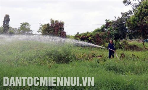 Vận hành máy bơm nước chữa cháy rừng ở Vườn quốc gia U Minh Thượng . Ảnh: Lê Huy Hải Vận hành máy bơm nước chữa cháy rừng ở Vườn quốc gia U Minh Thượng . Ảnh: Lê Huy Hải