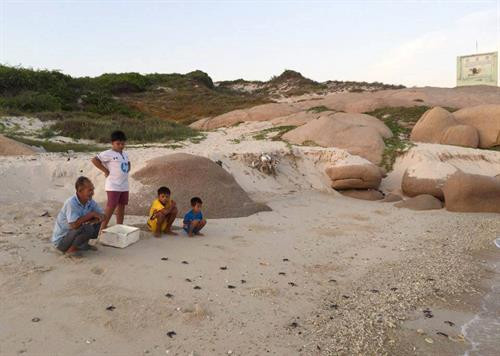 Rùa con sau khi nở được chăm sóc khỏe mạnh trước khi thả về biển. Thả rùa con về biển tại Khu bảo tồn biển Hòn Cau. Các tình nguyện viên luôn túc trực theo dõi và bảo vệ ổ rùa. Ổ trứng rùa tại Khu bảo tồn biển Hòn Cau. Rùa con sau khi nở được chăm sóc khỏe mạnh trước khi thả về biển. Thả rùa con về biển tại Khu bảo tồn biển Hòn Cau. Các tình nguyện viên luôn túc trực theo dõi và bảo vệ ổ rùa. Ổ trứng rùa tại Khu bảo tồn biển Hòn Cau.