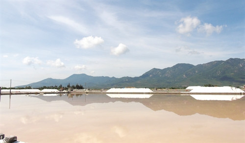 Tỉnh Khánh Hòa hiện có gần 1.000 ha ruộng sản xuất muối, sản lượng 7 tháng đầu năm 2016 đạt xấp xỉ 50.000 tấn Tỉnh Khánh Hòa hiện có gần 1.000 ha ruộng sản xuất muối, sản lượng 7 tháng đầu năm 2016 đạt xấp xỉ 50.000 tấn