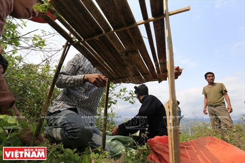 Cận cảnh mâm lễ vật cúng bản của người Cống. Mâm lễ vật này được chuẩn bị ở nhà thày mo. Thày mo làm lễ tại nhà trước khi lên vùng đất linh thiêng để làm lễ cúng bản. Người Cống rời nhà thày mo cùng lễ vật dâng lên hai vị thần nước và thần rừng. Ngoài đồ lễ được thày mo chuẩn bị, họ cũng mang theo gạo, gà và lợn để tế thần linh. Người Cống phát quang khu đất thiêng nơi có nguồn nước dẫn về bản. Trước khi làm lễ, trai bản dựng ngôi nhà nhỏ để đón thần linh về chứng kiến lễ cúng của họ. Thày mo đọc bài khấn đầu tiên trong lễ cúng để mời thần linh về cho dân bản làm lễ. Thày mo giết gà làm vật tế cầu vị thần linh che chở cho bản làng của họ được an lành. C huẩn bị đồ chín để cúng tạ ơn các vị thần. Trai bản giúp thày mo chuẩn bị lễ vật để làm lễ cúng. Thày mo rót rượu mời các vị thần sau khi thực hiện xong bài khấn. Xem bói từ gan là phần rất quan trọng của lễ cúng bản. Qua những đặc điểm của lá ga vừa tế thần, thày mo sẽ nói cho dân bản về kết quả của buổi lễ. Lễ cúng bản của người Cống chỉ dành cho đàn ông. Họ sẽ ăn uống theo cách thức cổ xưa như ông bà tổ tiên của họ ngay tại vùng đất thiêng của bản. Dấu hiệu cấm bản của người Cống. Từ lúc những “chiếc khiêng” này được cắm xuống, bản Nậm Pục sẽ nội bất xuất ngoại bất nhập. Cận cảnh mâm lễ vật cúng bản của người Cống. Mâm lễ vật này được chuẩn bị ở nhà thày mo. Thày mo làm lễ tại nhà trước khi lên vùng đất linh thiêng để làm lễ cúng bản. Người Cống rời nhà thày mo cùng lễ vật dâng lên hai vị thần nước và thần rừng. Ngoài đồ lễ được thày mo chuẩn bị, họ cũng mang theo gạo, gà và lợn để tế thần linh. Người Cống phát quang khu đất thiêng nơi có nguồn nước dẫn về bản. Trước khi làm lễ, trai bản dựng ngôi nhà nhỏ để đón thần linh về chứng kiến lễ cúng của họ. Thày mo đọc bài khấn đầu tiên trong lễ cúng để mời thần linh về cho dân bản làm lễ. Thày mo giết gà làm vật tế cầu vị thần linh che chở cho bản làng của họ được an lành. C huẩn bị đồ chín để cúng tạ ơn các vị thần. Trai bản giúp thày mo chuẩn bị lễ vật để làm lễ cúng. Thày mo rót rượu mời các vị thần sau khi thực hiện xong bài khấn. Xem bói từ gan là phần rất quan trọng của lễ cúng bản. Qua những đặc điểm của lá ga vừa tế thần, thày mo sẽ nói cho dân bản về kết quả của buổi lễ. Lễ cúng bản của người Cống chỉ dành cho đàn ông. Họ sẽ ăn uống theo cách thức cổ xưa như ông bà tổ tiên của họ ngay tại vùng đất thiêng của bản. Dấu hiệu cấm bản của người Cống. Từ lúc những “chiếc khiêng” này được cắm xuống, bản Nậm Pục sẽ nội bất xuất ngoại bất nhập.