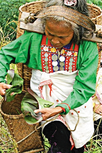 Khi lên lán lấy lúa mới, chỉ có ma lảm và người chủ gia đình (chồng ma lảm) thực hiện.