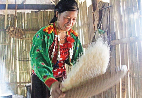 Sàng sẩy gạo chuẩn bị cho Lễ cơm mới