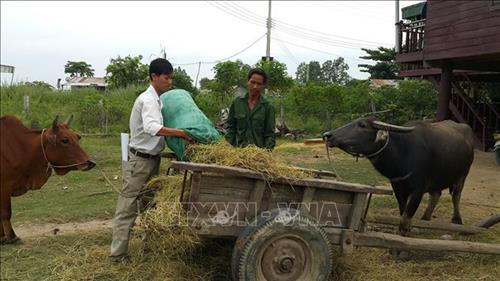 Đảng viên xã Ia Piar hướng dẫn bà con chăn nuôi đúng quy trình, cho hiệu quả kinh tế cao, giúp nhiều hộ nghèo thoát nghèo bền vững. Ảnh: Hồng Điệp - TTXVN.