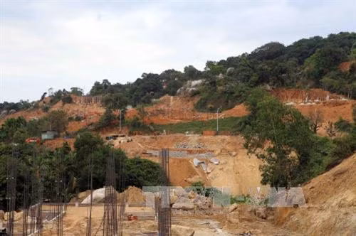 Đà Nẵng báo cáo Thủ tướng về quy hoạch tổng thể Khu du lịch quốc gia Sơn Trà ảnh 1