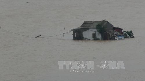 Cảnh nhà dân bị ngập chìm trong nước ở xã Quảng Hải (thị xã Ba Đồn, tỉnh Quảng Bình), sáng 1/11. Cảnh nhà dân bị ngập chìm trong nước ở xã Quảng Hải (thị xã Ba Đồn, tỉnh Quảng Bình), sáng 1/11.