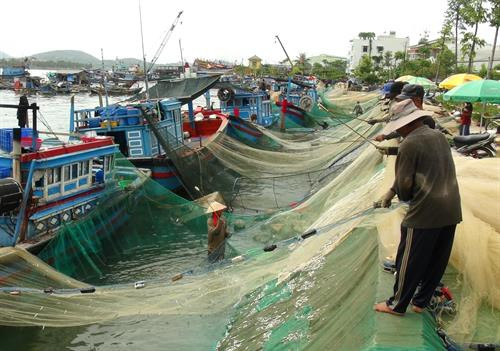 Ngư dân thu hoạch cá cơm, sau khi đưa tàu cập bờ. Ảnh: Nguyên Lý-TTXVN Ngư dân thu hoạch cá cơm, sau khi đưa tàu cập bờ. Ảnh: Nguyên Lý-TTXVN