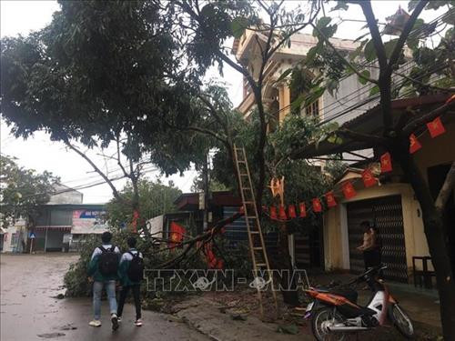 Dông lốc làm nhiều cây xanh bị gãy đổ. Ảnh: TTXVN phát Dông lốc làm nhiều cây xanh bị gãy đổ. Ảnh: TTXVN phát