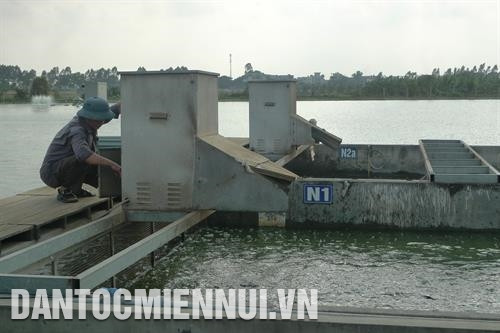 Chất lượng nước thay đổi đột ngột có thể làm cá bị sốc bỏ ăn, suy yếu, dễ mắc bệnh. Ảnh: Thanh Nga Chất lượng nước thay đổi đột ngột có thể làm cá bị sốc bỏ ăn, suy yếu, dễ mắc bệnh. Ảnh: Thanh Nga