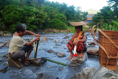 Công đoạn lột vỏ của cây sa ri để phục vụ cho nghề đan nón. Công đoạn lột vỏ của cây sa ri để phục vụ cho nghề đan nón.
