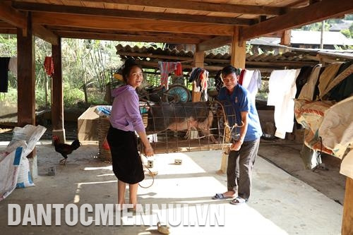 Gia đình anh Lò Văn Hải ở xã Hát Lừu, huyện Trạm Tấu bắt lợn chuẩn bị Tết Nguyên đán 2020. Ảnh: Hoàng Hà Con em đồng bào các dân tộc Mông, Thái… ở huyện Trạm Tấu giờ đã được học tập trong môi trường giáo dục an toàn, lành mạnh và thân thiện. Ảnh: Hoàng Hà Bác sĩ, Phó Giám đốc Trung tâm Y tế huyện Trạm Tấu đang siêu âm ổ bụng cho bà con người Mông ở thôn Cu Vai, xã Xà Hồ. Ảnh: Hoàng Hà