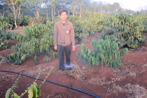 Mô hình tưới nước tiết kiệm cho cây cà phê ở huyện Cư Kuin. Ảnh: tintaynguyen.com