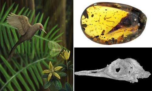 Hình ảnh phục dựng loài khủng long nhỏ nhất dựa trên hóa thạch hộp sọ. Nguồn: SWNS