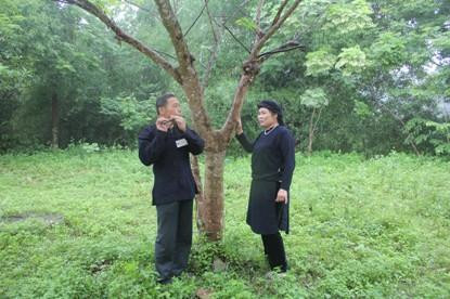 Chợ tình Xuân Dương - Nét văn hóa trong cộng đồng người Tày, Nùng ảnh 1