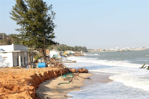 : Bờ biển dài gần 1.000m bị xâm thực nghiêm trọng. : Bờ biển dài gần 1.000m bị xâm thực nghiêm trọng.