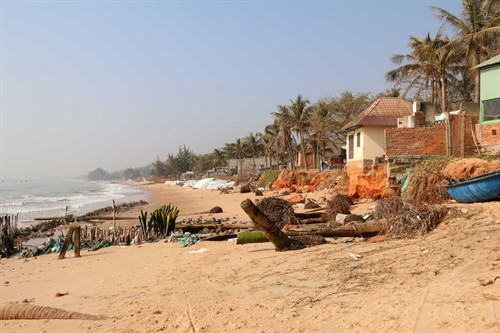 Bờ biển dài gần 1.000m bị xâm thực nghiêm trọng. Bờ biển dài gần 1.000m bị xâm thực nghiêm trọng.