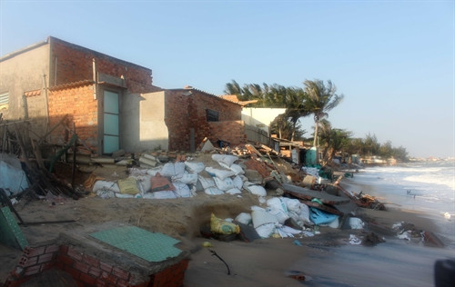 Bờ biển dài gần 1.000m bị xâm thực nghiêm trọng. Bờ biển dài gần 1.000m bị xâm thực nghiêm trọng.