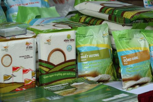 Hà Nội tổ chức kết nối sản xuất - tiêu thụ - phát triển chuỗi cung cấp nông sản an toàn ảnh 18