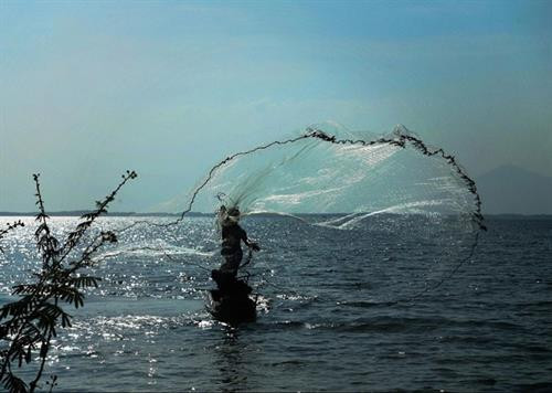 Vẻ quyến rũ của “vịnh không sóng” Hồ Dầu Tiếng ảnh 9