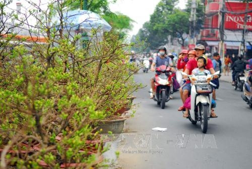 Hoa Tết trên Bến Bình Đông, quận 8. Ảnh: Mạnh Linh - TTXVN