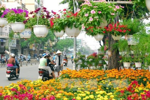 Hoa Tết trên đường Lý Thường Kiệt, quận 11. Ảnh: Mạnh Linh - TTXVN