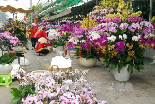 Hoa Tết trên đường Thành Thái, quận 10. Ảnh: Mạnh Linh - TTXVN