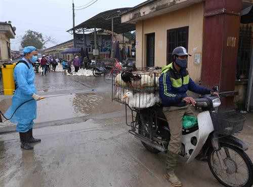 Chợ đầu mối gia cầm Hà Vĩ chủ động phòng, chống dịch cúm gia cầm ảnh 6 Chợ đầu mối gia cầm Hà Vĩ chủ động phòng, chống dịch cúm gia cầm ảnh 6