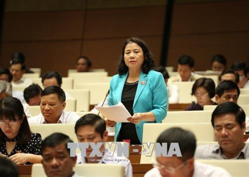 Đại biểu Quốc hội tỉnh Vĩnh Phúc Lê Thị Nguyệt phát biểu. Ảnh: Dương Giang - TTXVN