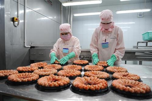 Các doanh nghiệp chế biến thủy sản ở Cà Mau đã trang trị công nghệ tiên tiến để chế biến tôm xuất khẩu . Ảnh: Thế Anh-TTXVN Các doanh nghiệp chế biến thủy sản ở Cà Mau đã trang trị công nghệ tiên tiến để chế biến tôm xuất khẩu . Ảnh: Thế Anh-TTXVN