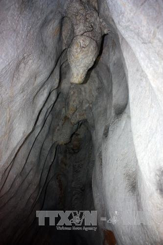 Đường vào động Kim Cương. Ảnh: Lê Sen - TTXVN “Vú cha” trong hang động Kim Cương. Ảnh: Lê Sen - TTXVN Những con bạch tuộc trong hang động Kim Cương. Ảnh: Lê Sen - TTXVN Nhũ đá hoa cương trong hang động. Ảnh: Lê Sen - TTXVN “Chim Đại bàng” trong hang động Kim Cương. Ảnh: Lê Sen - TTXVN “Tay bà chằn” trong hang động Kim Cương. Ảnh: Lê Sen - TTXVN “Trái khổ qua” (mướp đắng) trong hang động Kim Cương. Ảnh: Lê Sen - TTXVN