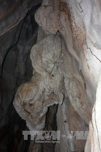 Đường vào động Kim Cương. Ảnh: Lê Sen - TTXVN “Vú cha” trong hang động Kim Cương. Ảnh: Lê Sen - TTXVN Những con bạch tuộc trong hang động Kim Cương. Ảnh: Lê Sen - TTXVN Nhũ đá hoa cương trong hang động. Ảnh: Lê Sen - TTXVN “Chim Đại bàng” trong hang động Kim Cương. Ảnh: Lê Sen - TTXVN “Tay bà chằn” trong hang động Kim Cương. Ảnh: Lê Sen - TTXVN “Trái khổ qua” (mướp đắng) trong hang động Kim Cương. Ảnh: Lê Sen - TTXVN
