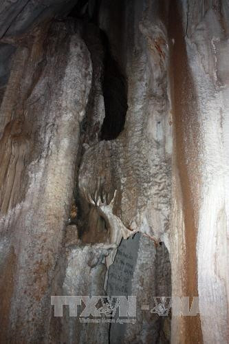Đường vào động Kim Cương. Ảnh: Lê Sen - TTXVN “Vú cha” trong hang động Kim Cương. Ảnh: Lê Sen - TTXVN Những con bạch tuộc trong hang động Kim Cương. Ảnh: Lê Sen - TTXVN Nhũ đá hoa cương trong hang động. Ảnh: Lê Sen - TTXVN “Chim Đại bàng” trong hang động Kim Cương. Ảnh: Lê Sen - TTXVN “Tay bà chằn” trong hang động Kim Cương. Ảnh: Lê Sen - TTXVN “Trái khổ qua” (mướp đắng) trong hang động Kim Cương. Ảnh: Lê Sen - TTXVN