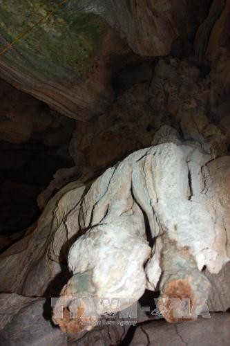 Đường vào động Kim Cương. Ảnh: Lê Sen - TTXVN “Vú cha” trong hang động Kim Cương. Ảnh: Lê Sen - TTXVN Những con bạch tuộc trong hang động Kim Cương. Ảnh: Lê Sen - TTXVN Nhũ đá hoa cương trong hang động. Ảnh: Lê Sen - TTXVN “Chim Đại bàng” trong hang động Kim Cương. Ảnh: Lê Sen - TTXVN “Tay bà chằn” trong hang động Kim Cương. Ảnh: Lê Sen - TTXVN “Trái khổ qua” (mướp đắng) trong hang động Kim Cương. Ảnh: Lê Sen - TTXVN