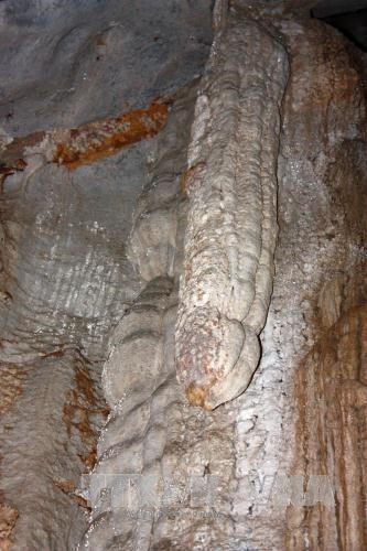 Đường vào động Kim Cương. Ảnh: Lê Sen - TTXVN “Vú cha” trong hang động Kim Cương. Ảnh: Lê Sen - TTXVN Những con bạch tuộc trong hang động Kim Cương. Ảnh: Lê Sen - TTXVN Nhũ đá hoa cương trong hang động. Ảnh: Lê Sen - TTXVN “Chim Đại bàng” trong hang động Kim Cương. Ảnh: Lê Sen - TTXVN “Tay bà chằn” trong hang động Kim Cương. Ảnh: Lê Sen - TTXVN “Trái khổ qua” (mướp đắng) trong hang động Kim Cương. Ảnh: Lê Sen - TTXVN