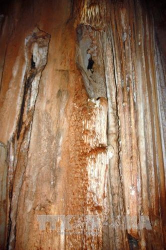 Đường vào động Kim Cương. Ảnh: Lê Sen - TTXVN “Vú cha” trong hang động Kim Cương. Ảnh: Lê Sen - TTXVN Những con bạch tuộc trong hang động Kim Cương. Ảnh: Lê Sen - TTXVN Nhũ đá hoa cương trong hang động. Ảnh: Lê Sen - TTXVN “Chim Đại bàng” trong hang động Kim Cương. Ảnh: Lê Sen - TTXVN “Tay bà chằn” trong hang động Kim Cương. Ảnh: Lê Sen - TTXVN “Trái khổ qua” (mướp đắng) trong hang động Kim Cương. Ảnh: Lê Sen - TTXVN