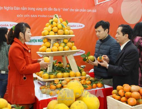 Đông đảo người dân và du khách đến hội chợ thăm quan, tìm hiểu và mua bán các sản phẩm từ cam. Ảnh: Thanh Tùng-TTXVN Đông đảo người dân và du khách đến hội chợ thăm quan, tìm hiểu và mua bán các sản phẩm từ cam. Ảnh: Thanh Tùng-TTXVN