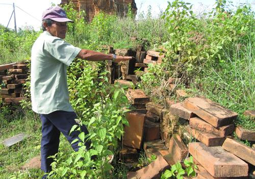 Cỏ dại mọc trên nền tháp giữa, các mảng tường gạch có hoa văn điêu khắc rất đẹp đang bị mủn nát, bong rộp. Ảnh: Nguyễn Thành – TTXVN Cỏ dại mọc trên nền tháp giữa, các mảng tường gạch có hoa văn điêu khắc rất đẹp đang bị mủn nát, bong rộp. Ảnh: Nguyễn Thành – TTXVN