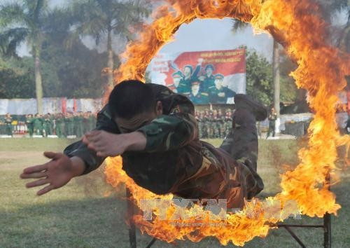 Trung đoàn 209 ra quân huấn luyện ảnh 4