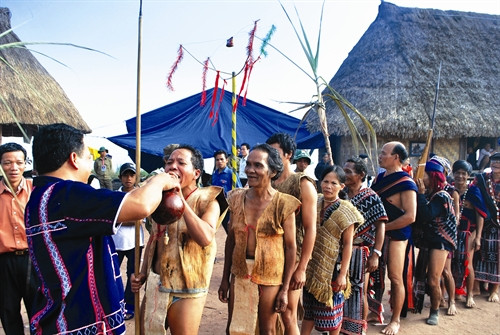 Uống rượu lễ trước khi múa tung tung - da dá